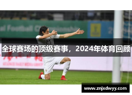 全球赛场的顶级赛事，2024年体育回顾