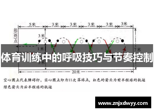 体育训练中的呼吸技巧与节奏控制