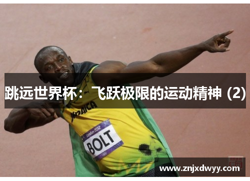 跳远世界杯：飞跃极限的运动精神 (2)